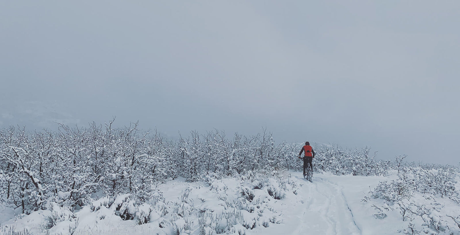 Five Essentials for Your Next Fat Bike Ride