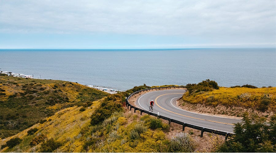 Cervélo Road