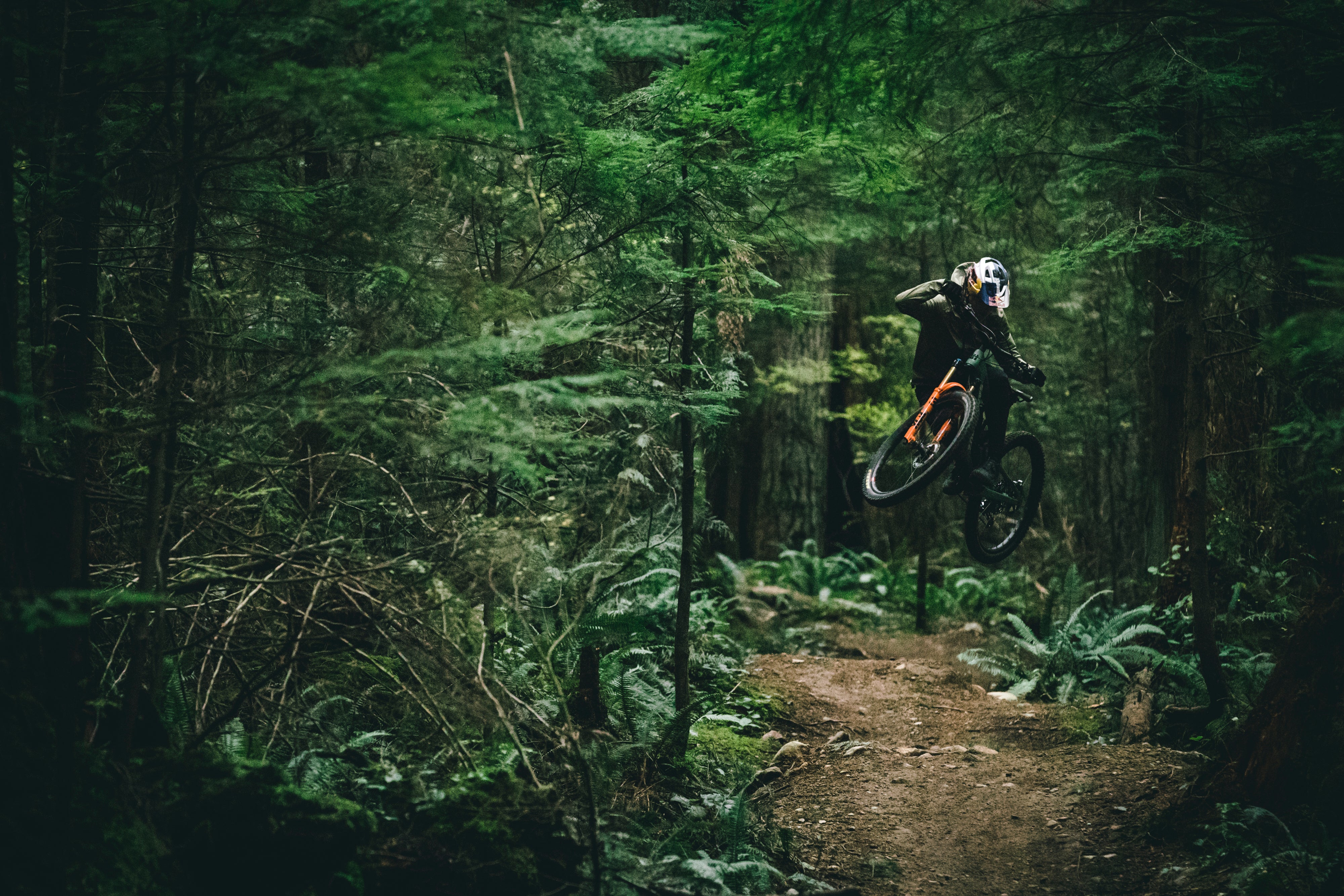 An action shot of a man launching off a jump on a Santa Cruz 5010 mountain bike, mid-air on a scenic forest trail surrounded by towering trees, available at Contender Bicycles.