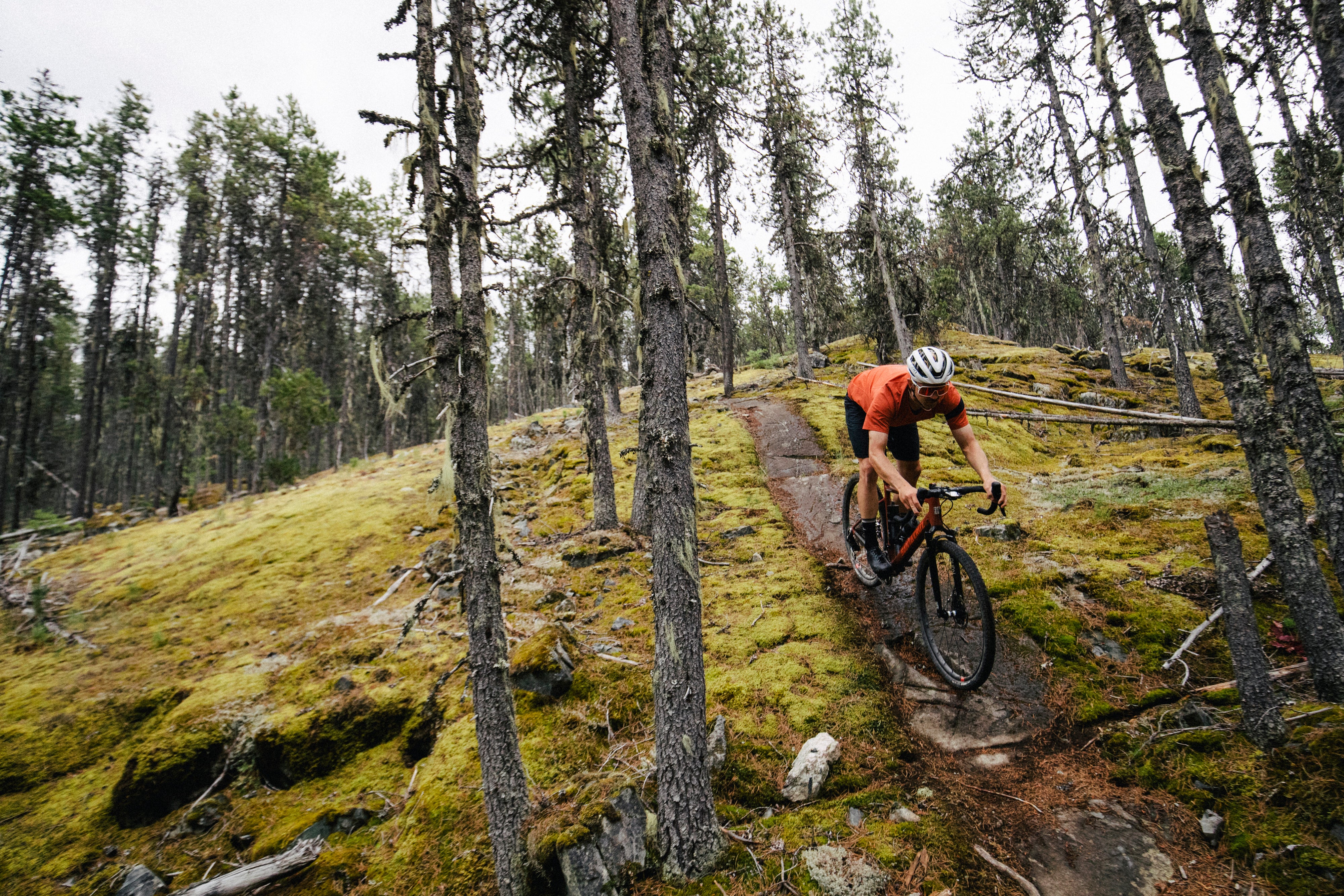 A man riding a Santa Cruz Stigmata gravel bike through a lush forest trail, surrounded by tall trees, Sold at Contender Bicycles.