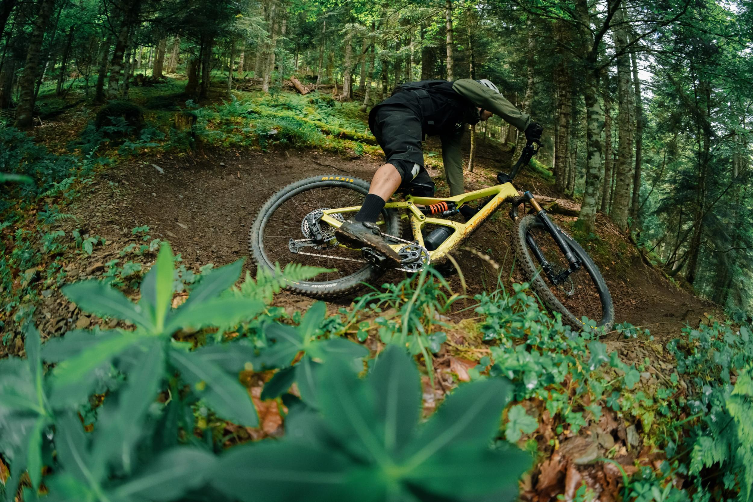 A man riding a green Orbea Occam Mountain bike on a dirt trail through he forest. 